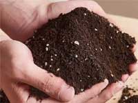 臭氧在农业种植(土壤基质、营养液、种子、棚内秧苗)中的应用