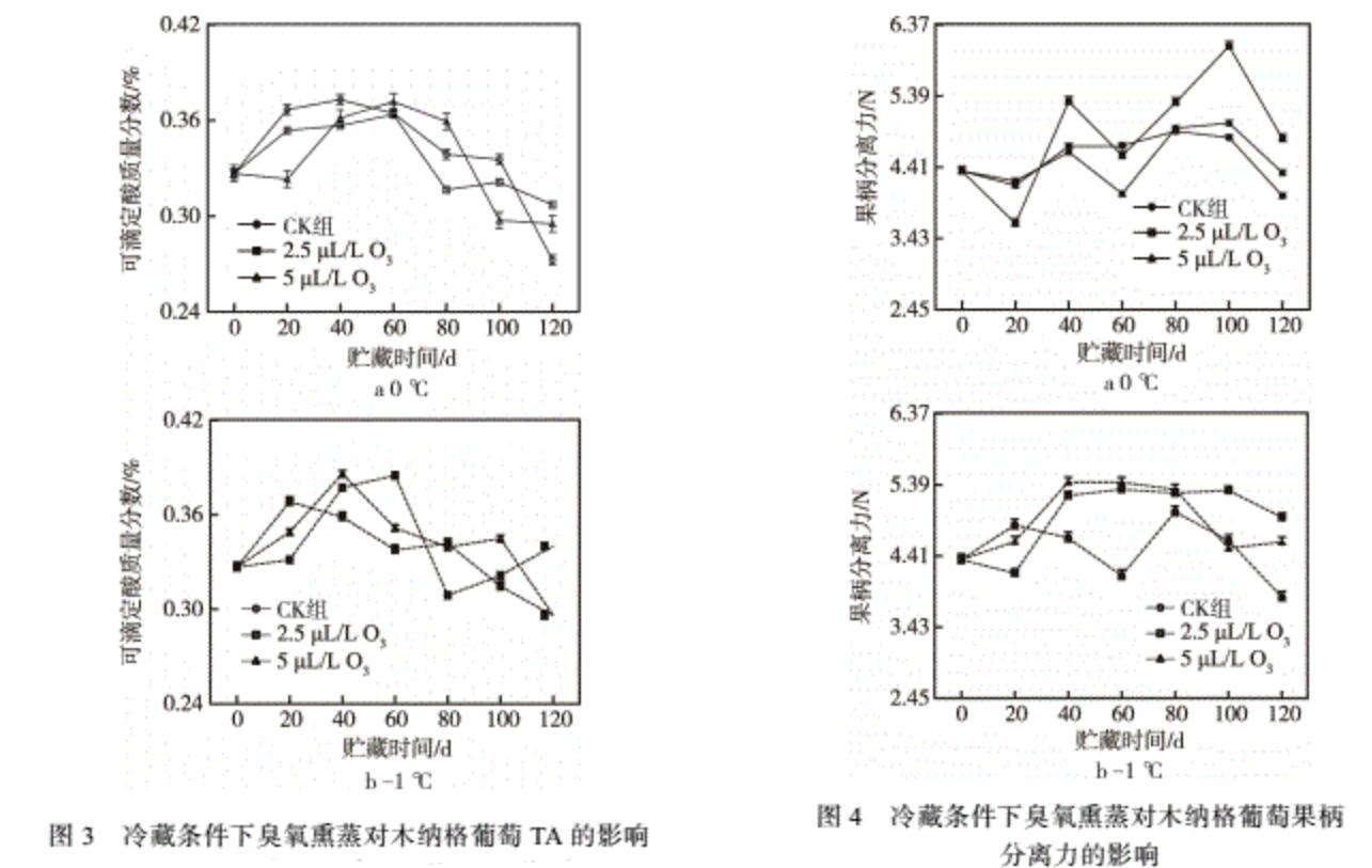盈盈彩app下载
