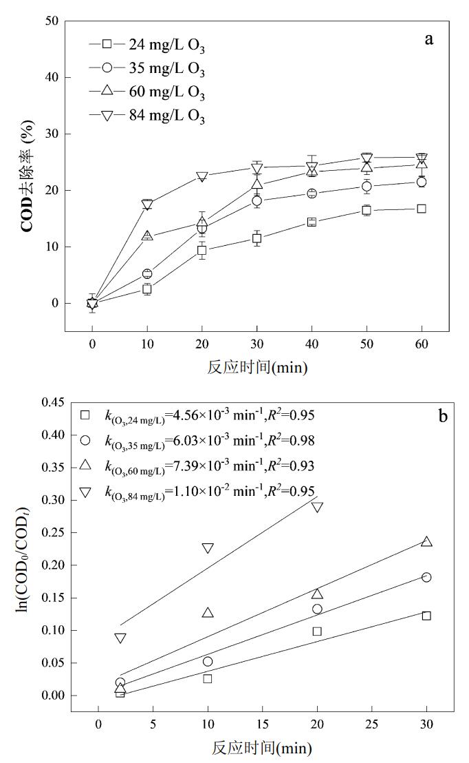 盈盈彩app下载