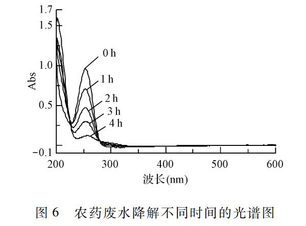 盈盈彩app下载