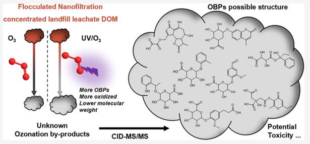 同林3S-T臭氧发生器又出论文了