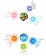 臭氧产生的原理和产生方式